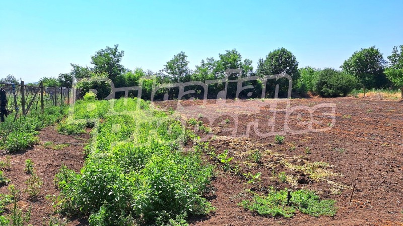 Продава КЪЩА, с. Караманите, област Варна, снимка 4 - Къщи - 53172534