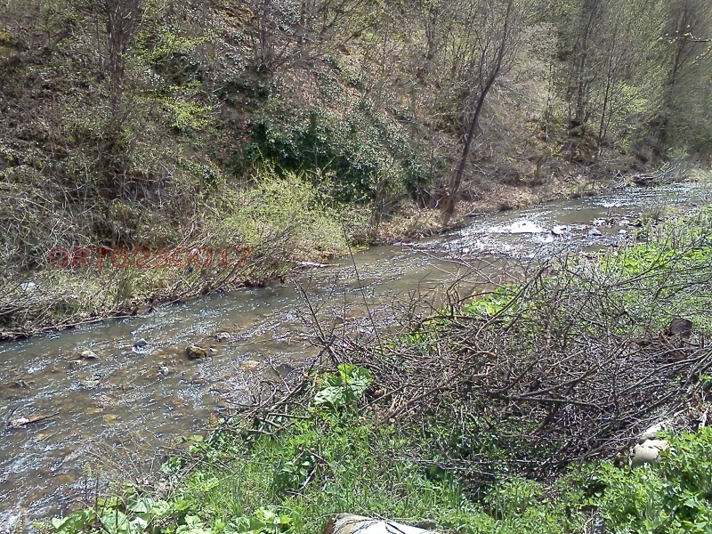 Продава ПАРЦЕЛ, с. Пчелиново, област Стара Загора, снимка 13 - Парцели - 53248907