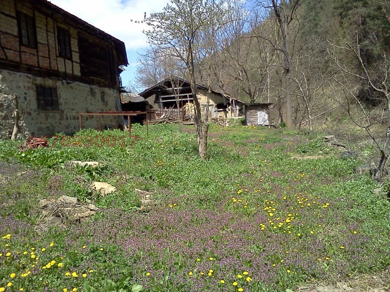 Продава ПАРЦЕЛ, с. Пчелиново, област Стара Загора, снимка 2 - Парцели - 53248907