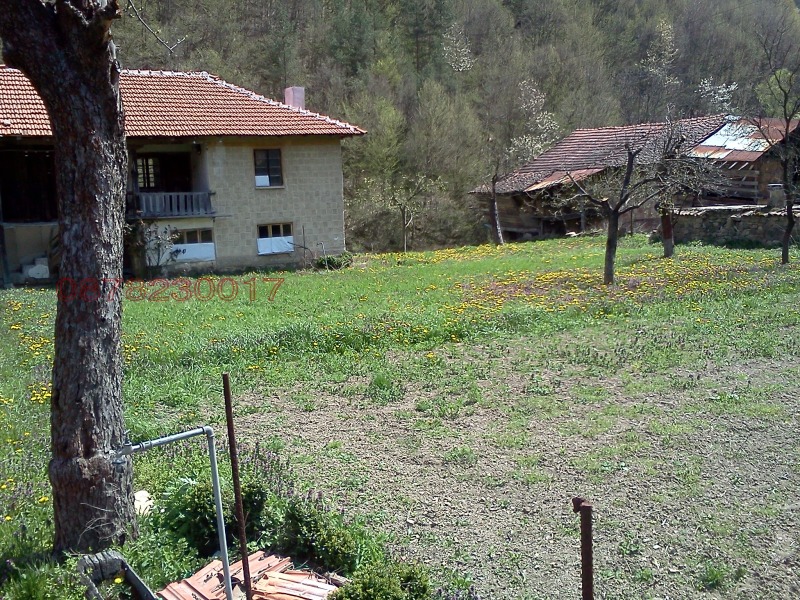 Продава ПАРЦЕЛ, с. Пчелиново, област Стара Загора, снимка 8 - Парцели - 53248907