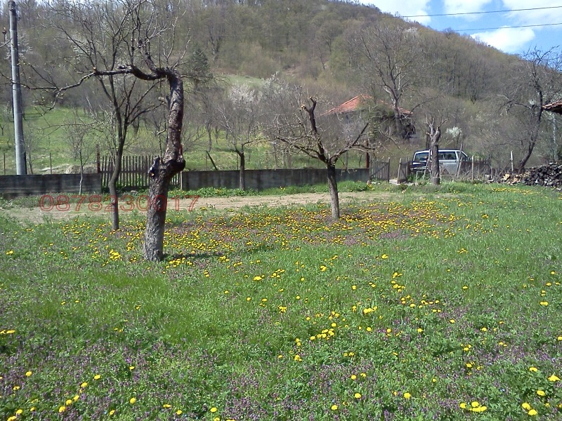 Продава ПАРЦЕЛ, с. Пчелиново, област Стара Загора, снимка 4 - Парцели - 53248907