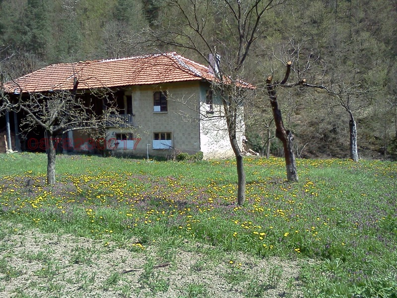 Продава ПАРЦЕЛ, с. Пчелиново, област Стара Загора, снимка 6 - Парцели - 53248907