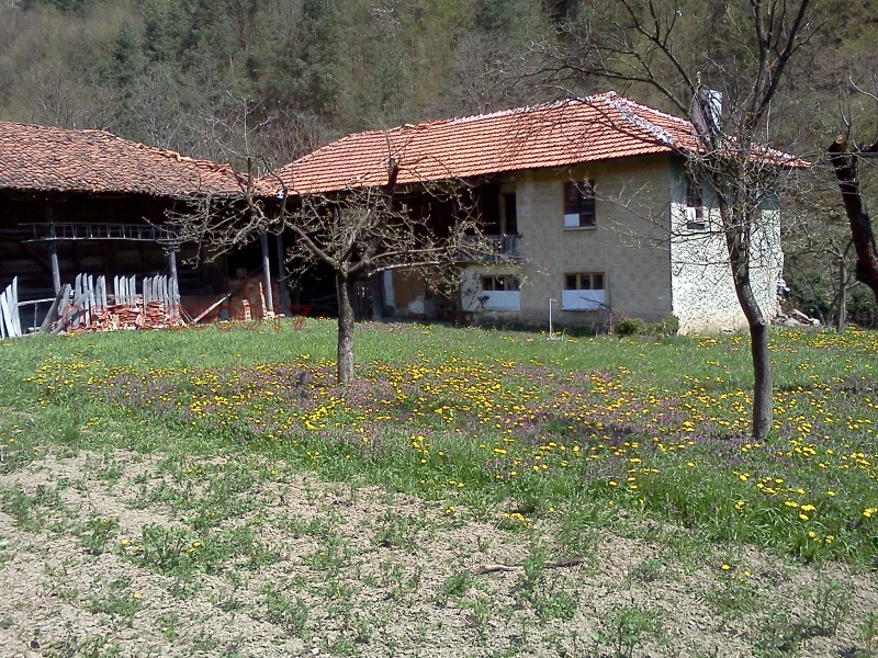 Продава ПАРЦЕЛ, с. Пчелиново, област Стара Загора, снимка 5 - Парцели - 53248907