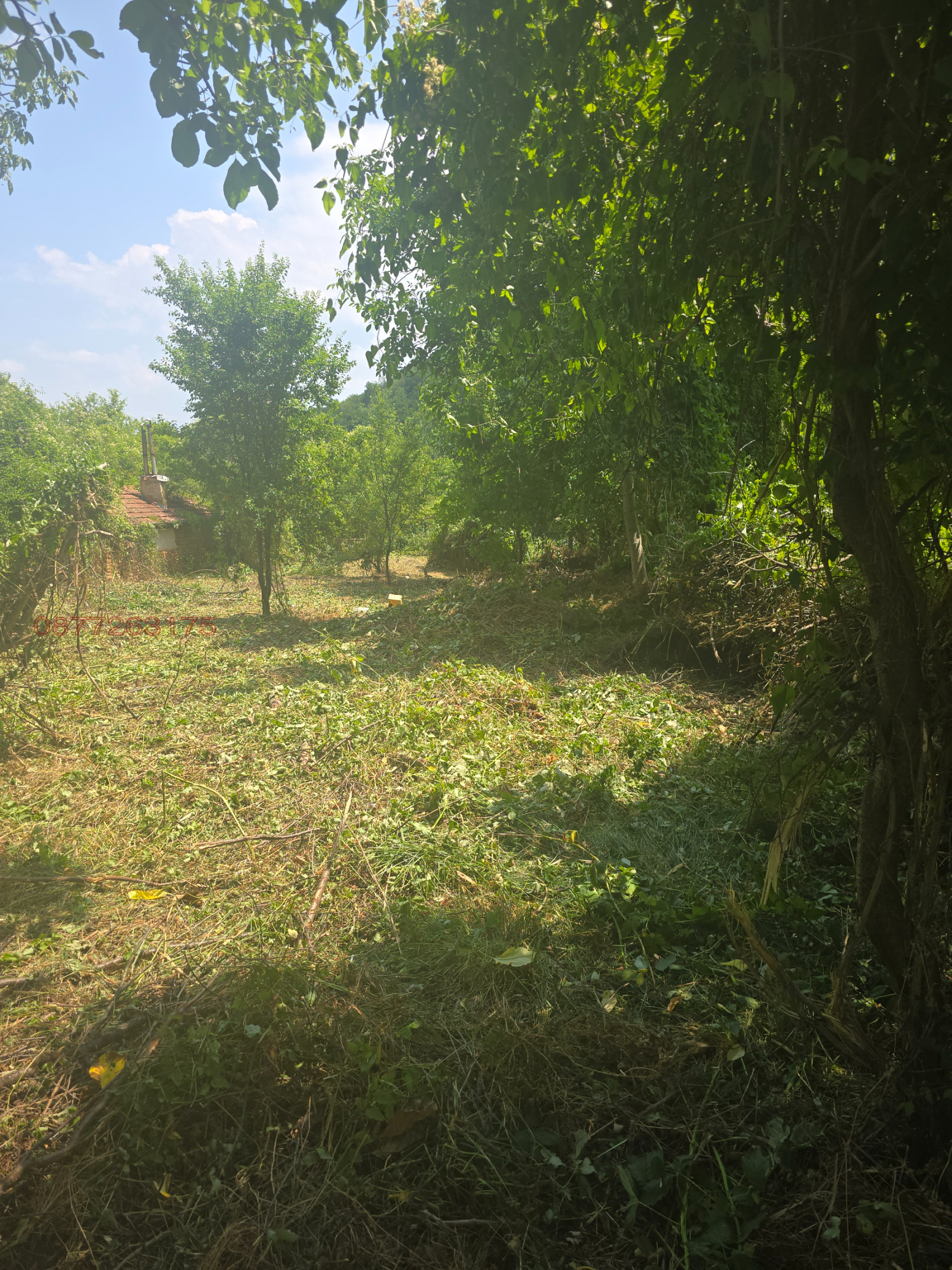 Продава ПАРЦЕЛ, с. Малка Желязна, област Ловеч, снимка 5 - Парцели - 54688572