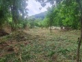 Продава ПАРЦЕЛ, с. Малка Желязна, област Ловеч, снимка 1