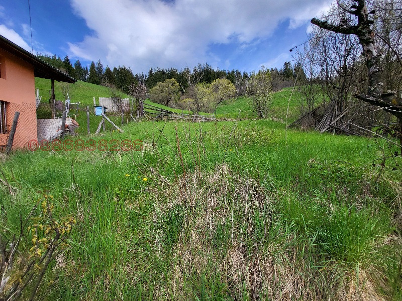 ������� ������ | Imot.bg � ����������� 9