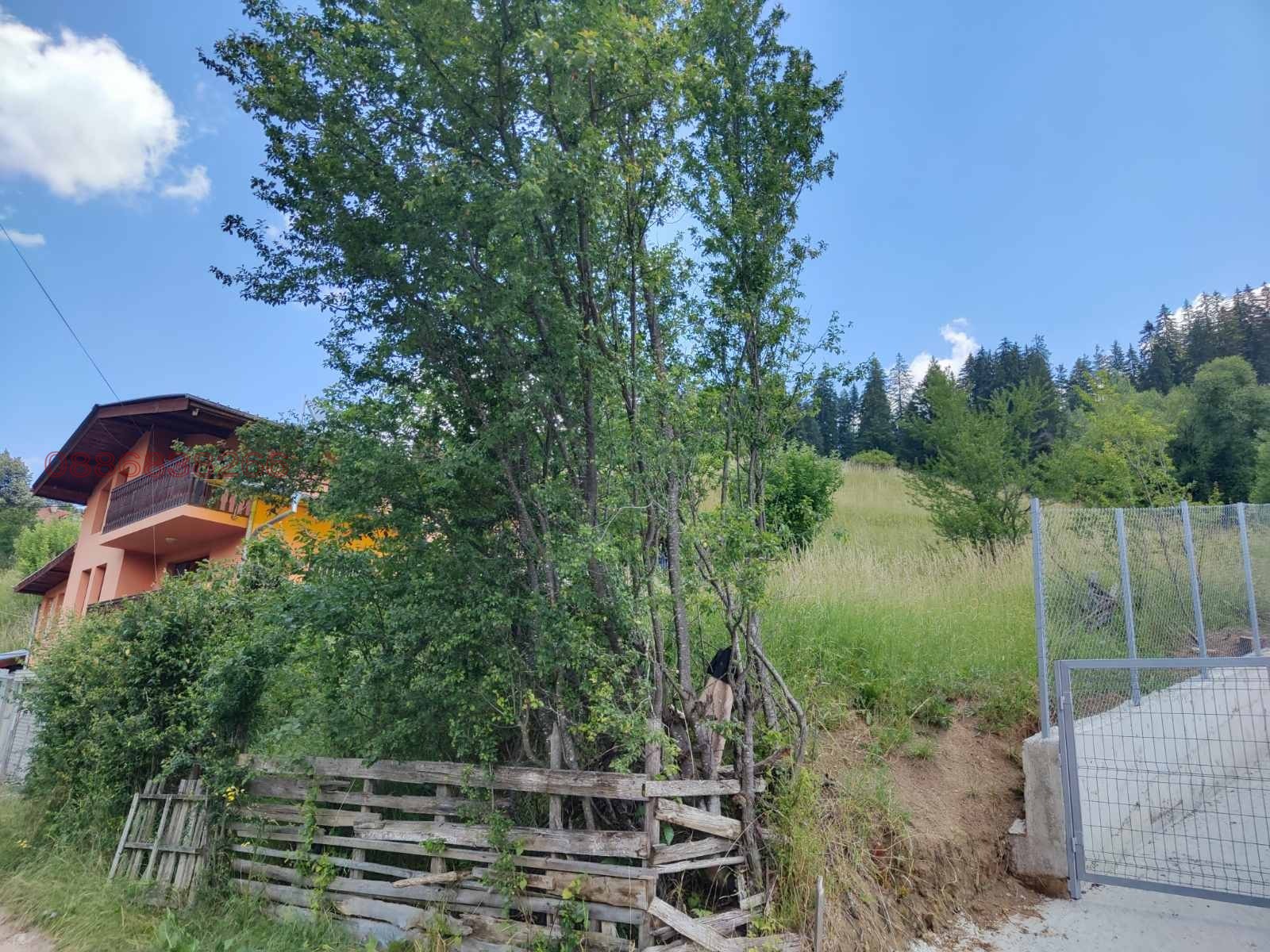 ������� ������ | Imot.bg � ����������� 2