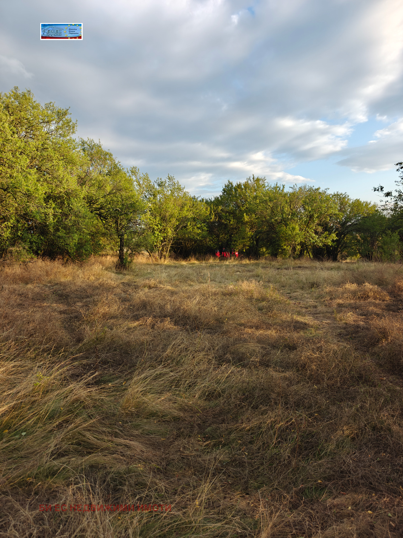 Продава ПАРЦЕЛ | Imot.bg — изображение 3