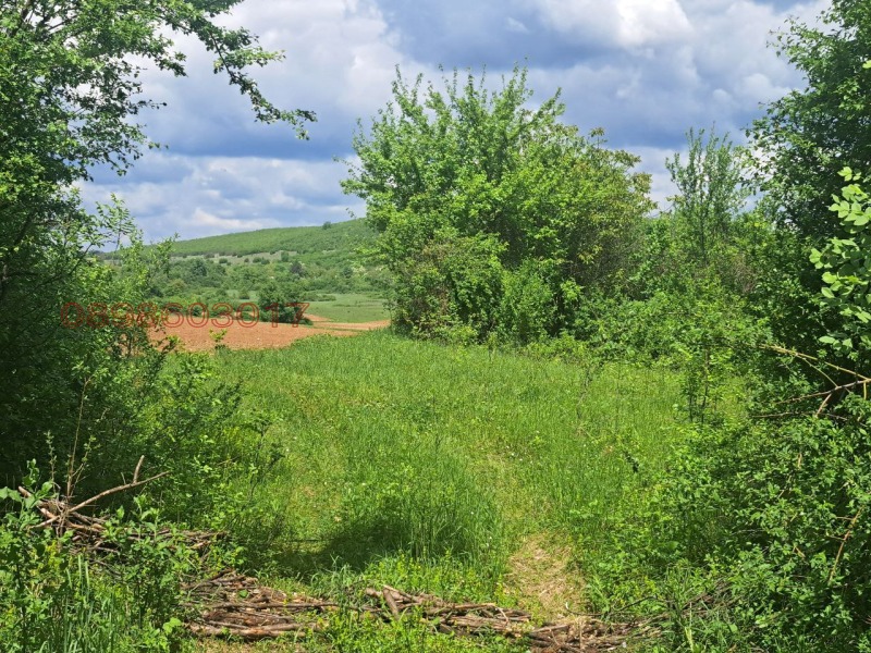 Продава ПАРЦЕЛ, с. Брестница, област Ловеч, снимка 13 - Парцели - 52785470