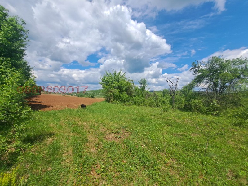 Продава ПАРЦЕЛ, с. Брестница, област Ловеч, снимка 7 - Парцели - 52785470