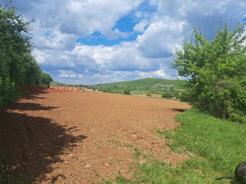 Продава ПАРЦЕЛ, с. Брестница, област Ловеч, снимка 8 - Парцели - 52785470