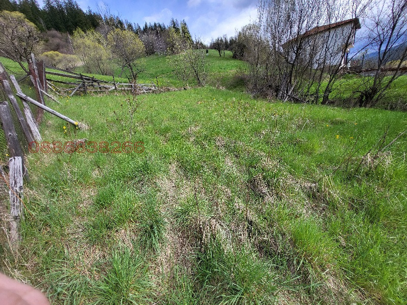 Продава ПАРЦЕЛ, гр. Чепеларе, област Смолян, снимка 10 - Парцели - 52786047