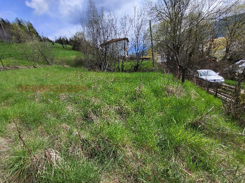 Продава ПАРЦЕЛ, гр. Чепеларе, област Смолян, снимка 11 - Парцели - 52786047