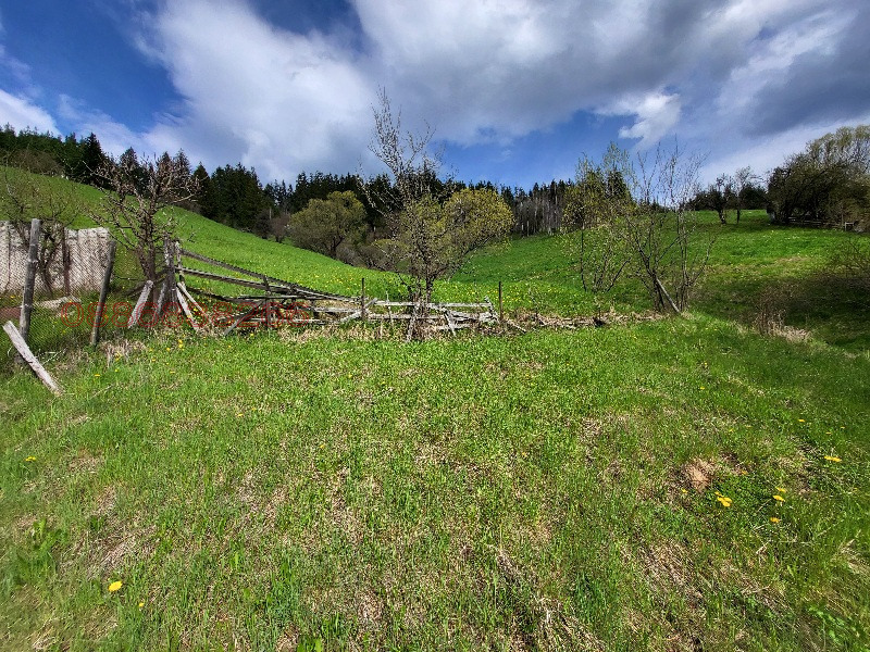 Продава ПАРЦЕЛ, гр. Чепеларе, област Смолян, снимка 12 - Парцели - 52786047