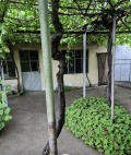 Продава КЪЩА, гр. Твърдица, област Сливен, снимка 2