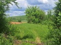 Продава ПАРЦЕЛ, с. Брестница, област Ловеч, снимка 13