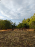 Продава ПАРЦЕЛ, област Перник, с. Слаковци • 29000 лв. • 37360609 — Holmes.bg
