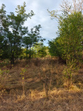 Продава ПАРЦЕЛ, област Перник, с. Слаковци • 29000 лв. • 37360609 — Holmes.bg