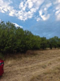 Продава ПАРЦЕЛ, област Перник, с. Слаковци • 29000 лв. • 37360609 — Holmes.bg