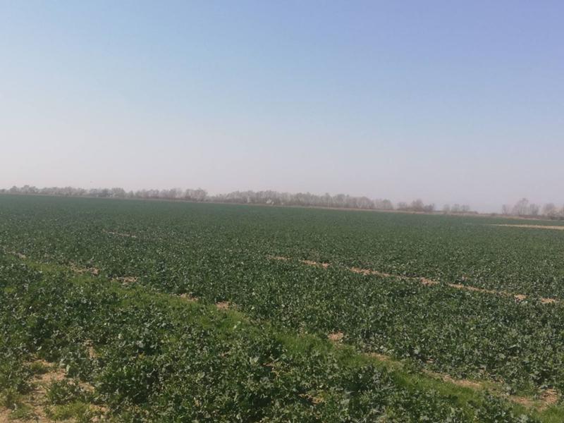 ������� ������ | Imot.bg � ����������� 6