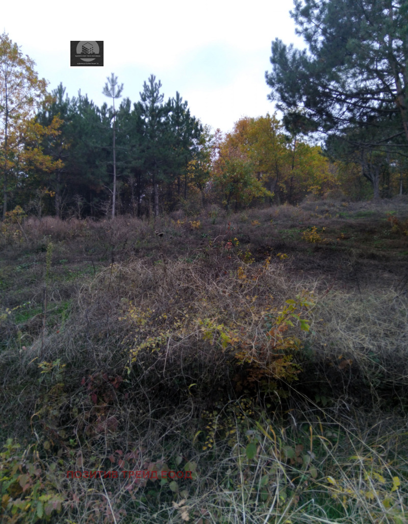 Продава ПАРЦЕЛ, гр. Кюстендил, Колуша, снимка 2 - Парцели - 52339230