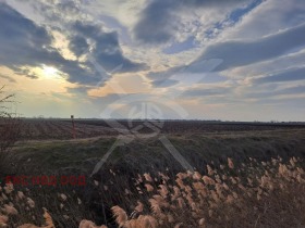 Плот Радиново, регион Пловдив