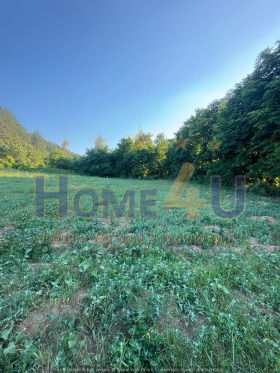 Plot Logodazh, region Blagoevgrad