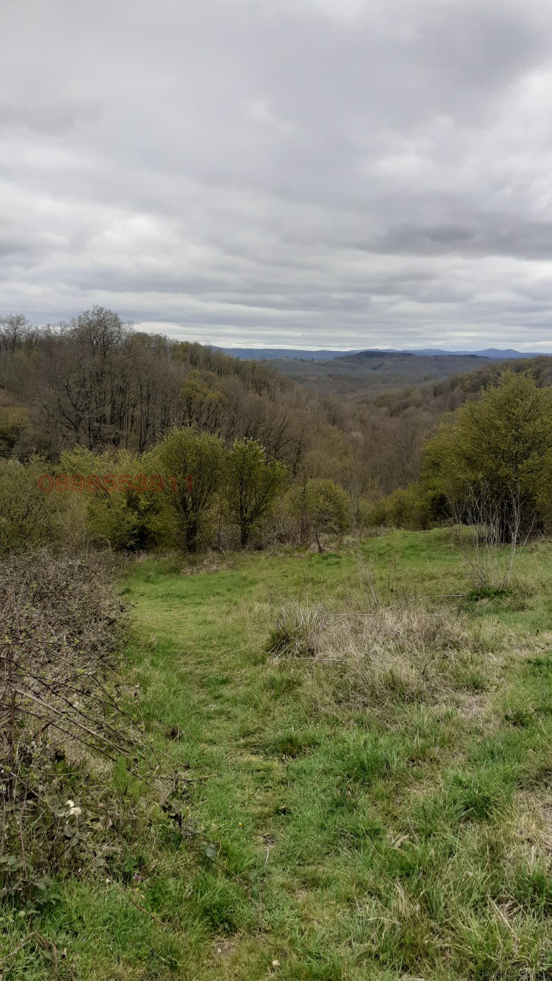 Продава КЪЩА, с. Кондолово, област Бургас, снимка 5 - Къщи - 52910286