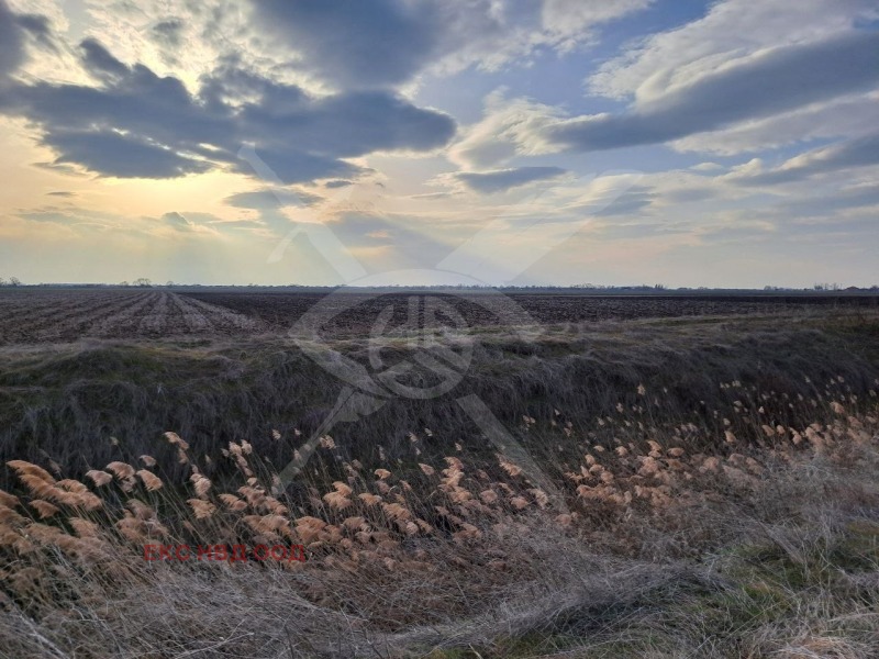Продаја  Плот регион Пловдив , Радиново , 6000 м2 | 69893348 - слика [2]