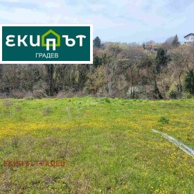 ������ ������� ������