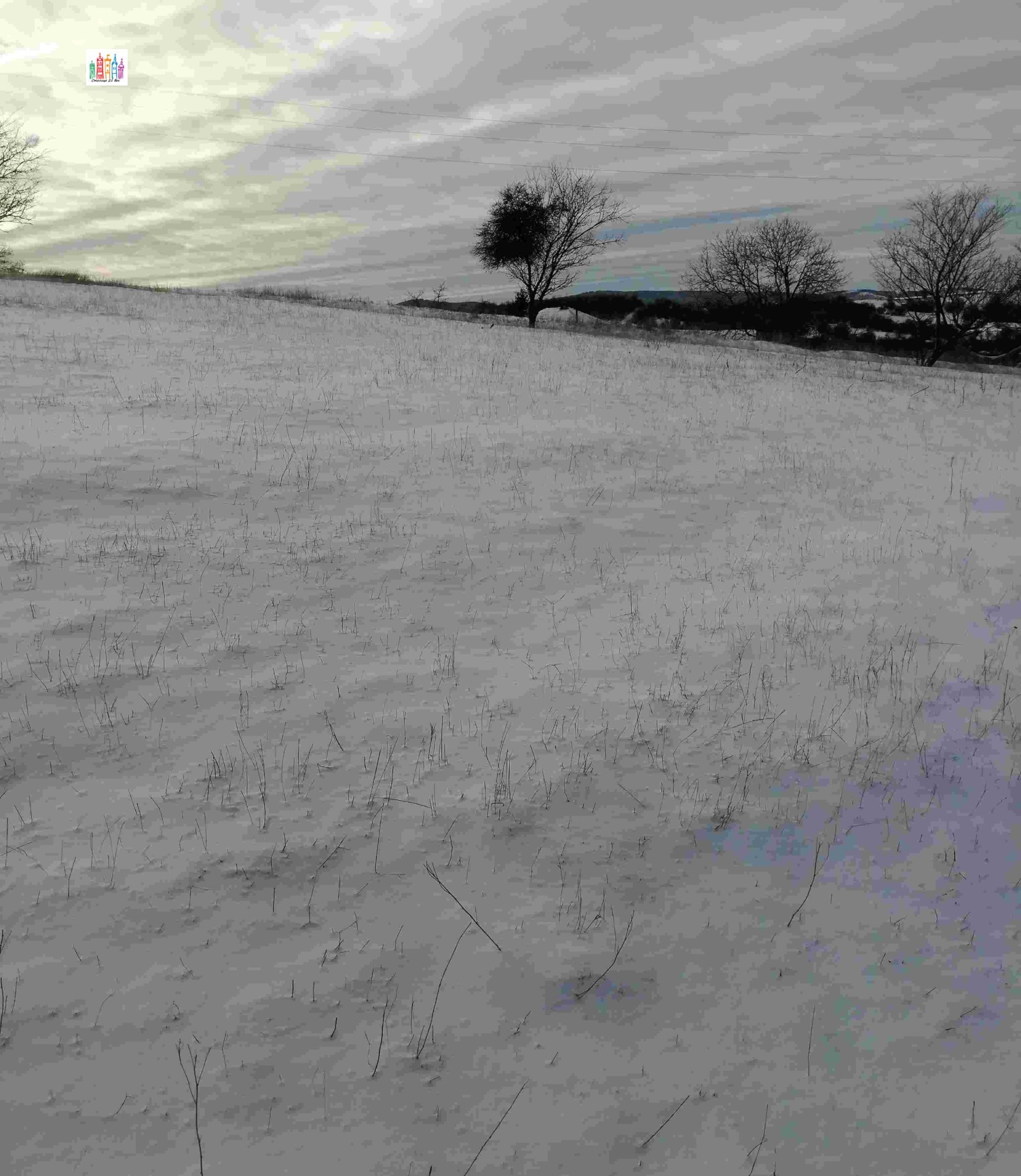 ������� ������ | Imot.bg � ����������� 11