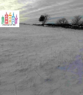 ������� ������ | Imot.bg � ����� ������ 11