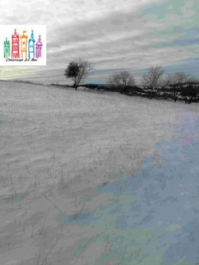 ������� ������ | Imot.bg � ����� ������ 13