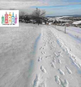 ������� ������ | Imot.bg � ����� ������ 12