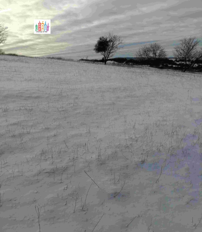 Продава ПАРЦЕЛ, с. Дивотино, област Перник, снимка 10 - Парцели - 53053632