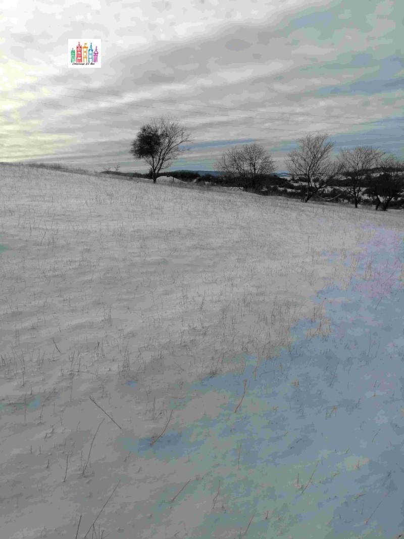 Продава ПАРЦЕЛ, с. Дивотино, област Перник, снимка 12 - Парцели - 53053632