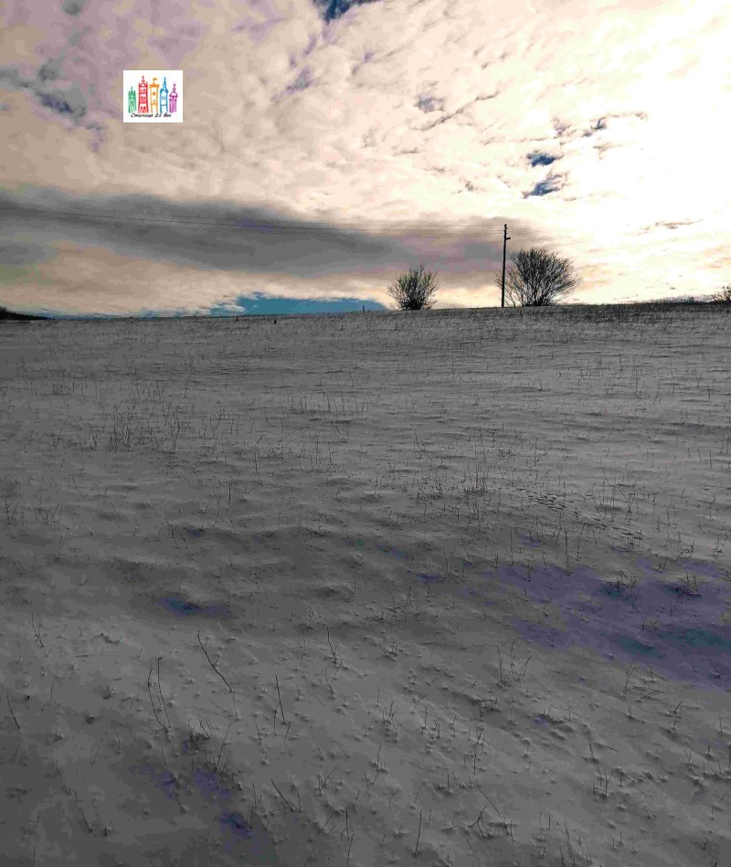 Продава ПАРЦЕЛ, с. Дивотино, област Перник, снимка 8 - Парцели - 53053632