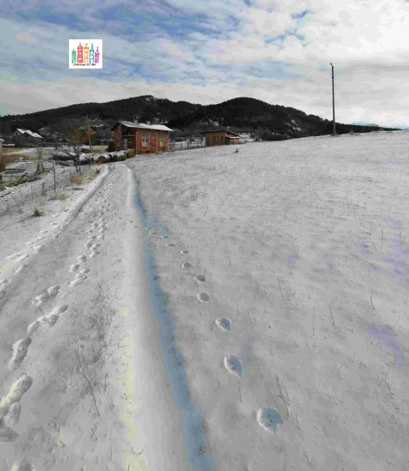 Продава ПАРЦЕЛ, с. Дивотино, област Перник, снимка 7 - Парцели - 53053632