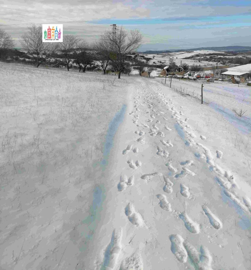 Продава ПАРЦЕЛ, с. Дивотино, област Перник, снимка 11 - Парцели - 53053632