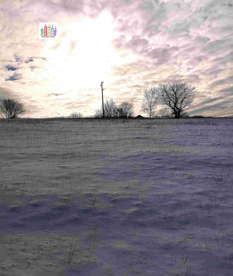 Продава ПАРЦЕЛ, с. Дивотино, област Перник, снимка 9 - Парцели - 53053632