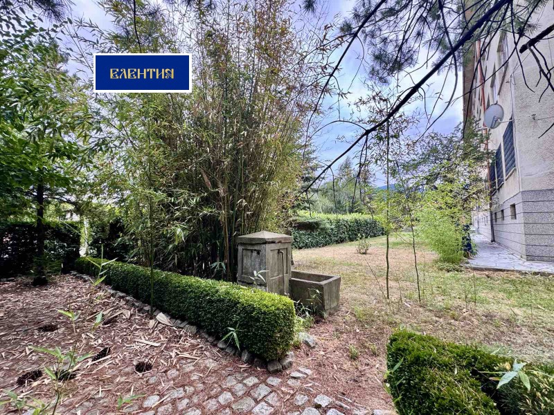 Продава БИЗНЕС ИМОТ, гр. Долна баня, област София област, снимка 12 - Други - 52526025