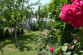 ������� ���� | Imot.bg � ����� ������ 8