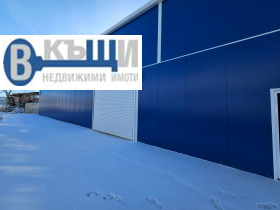 ����� ������� �����,���� ������ �������, ������