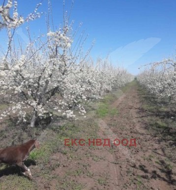 Продава ПАРЦЕЛ | Imot.bg — изображение 2