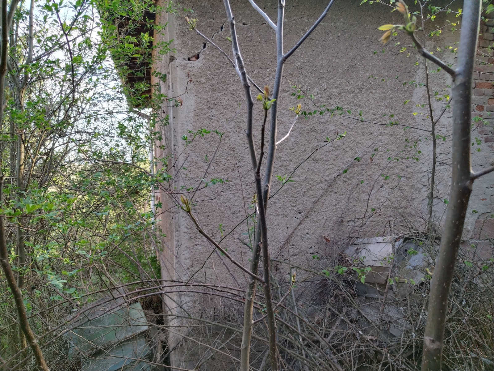 ������� ���� | Imot.bg � ����������� 7