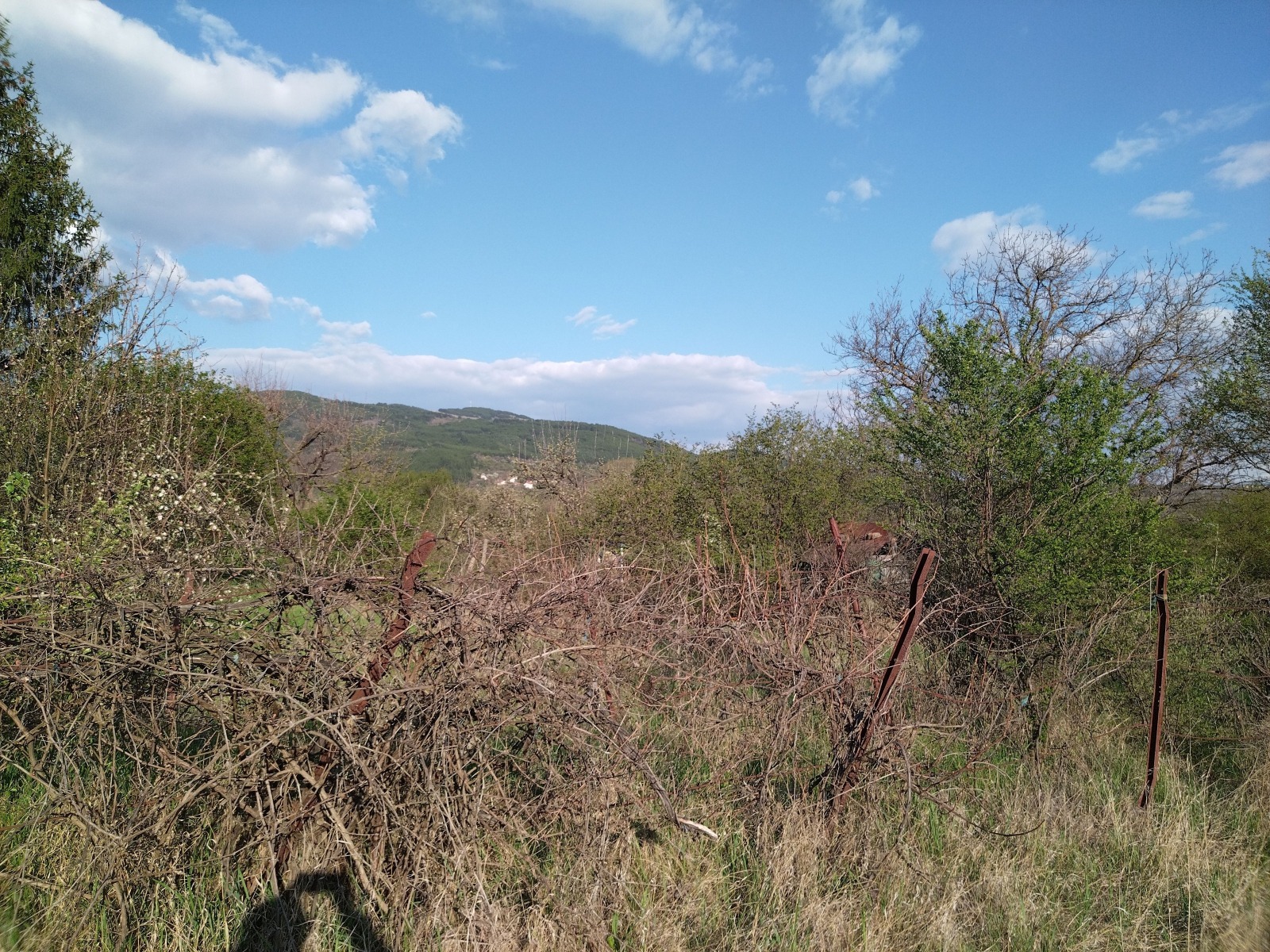 ������� ���� | Imot.bg � ����������� 10
