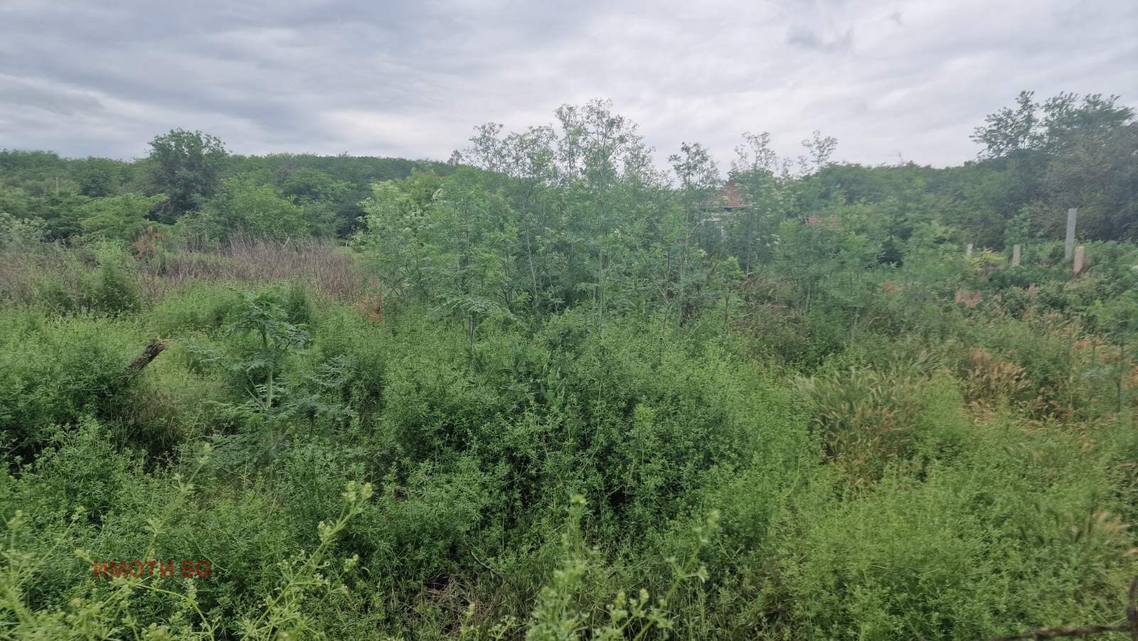 ������� ������ | Imot.bg � ����������� 8