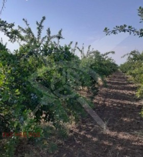 Cselekmény Calapica, régió Plovdiv