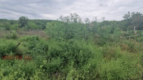 ������� ������ | Imot.bg � ����� ������ 8