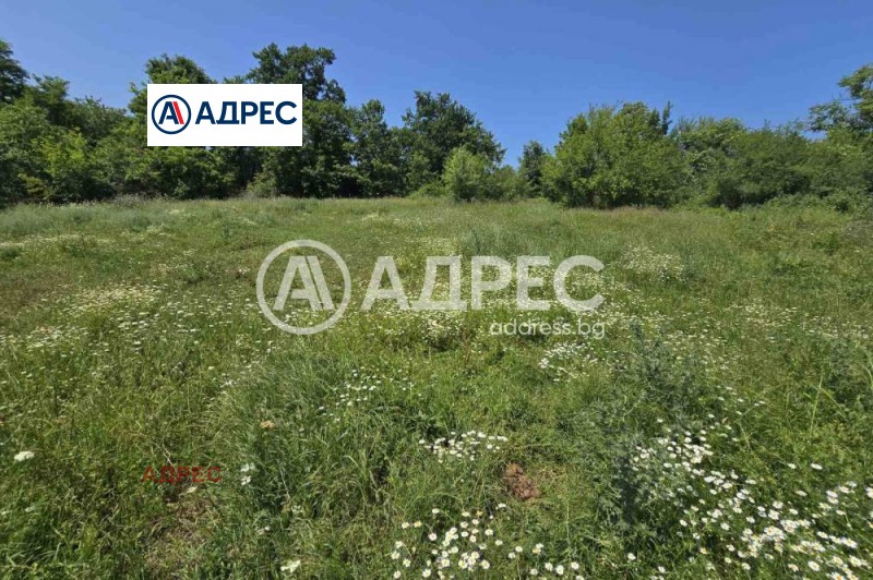 Na sprzedaż  Działka region Warny , Junec , 1000 mkw | 61105384 - obraz [3]
